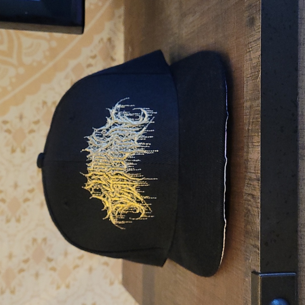 "Within destruction" band snapback.